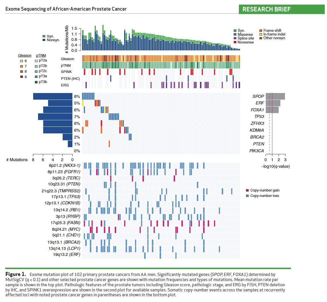 Exome mutation plot of 102 primary prostate cancers from African-American men