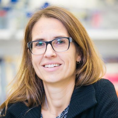 Claudia Fischbach-Teschl, Ph.D