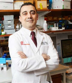 Dr. Bishoy Faltas