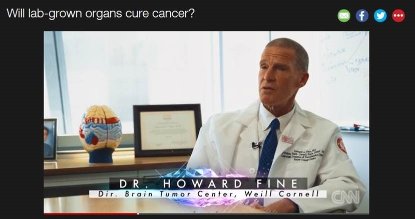 Dr Howard Fine on CNN