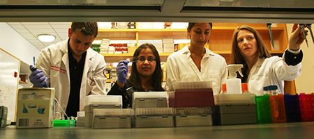 Jared Bassett, Tina Bharani, Emilie George and Rachel Yanowitch work in the Jeffrey Greenfield lab at Weill Cornell Medicine