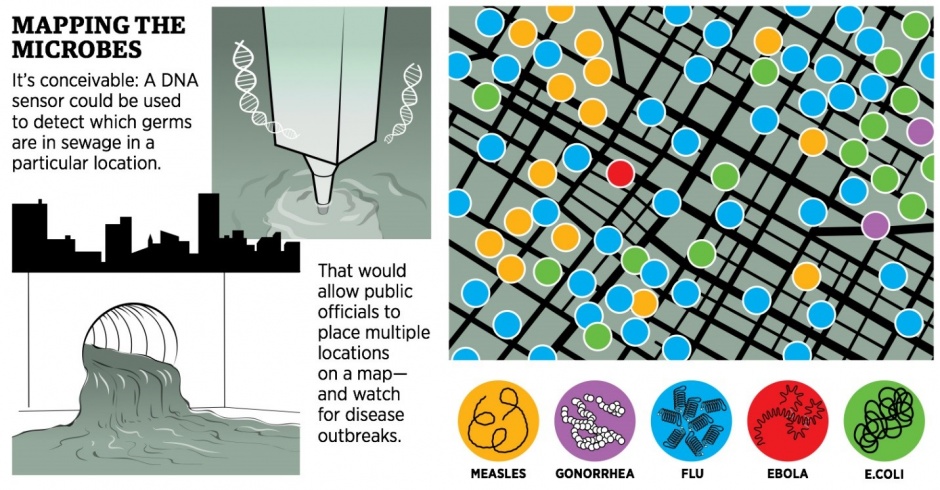 Graphic of microbes in sewer
