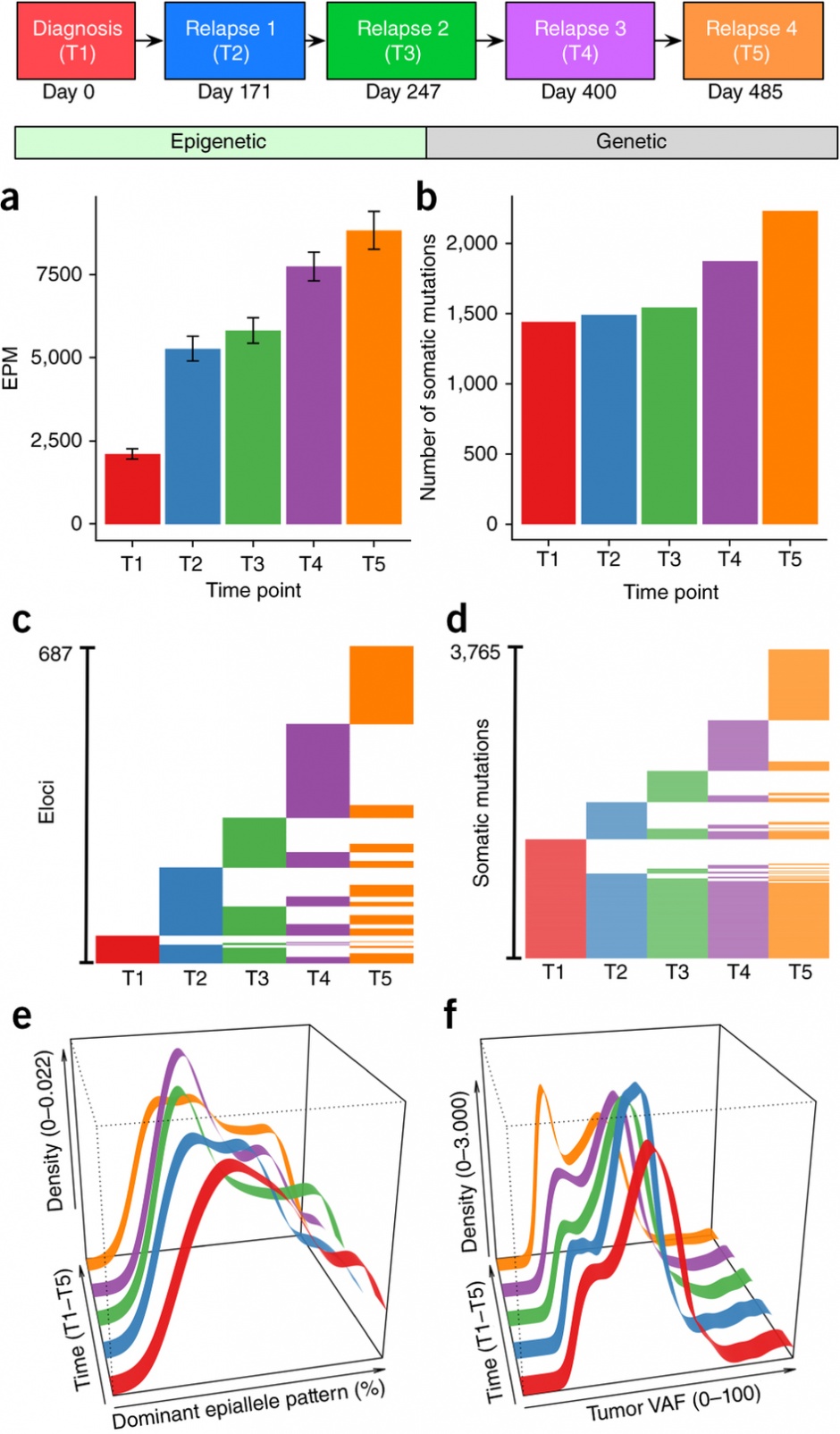 Assessment of epiallele shifts and genetic changes in serial samples from patient AML_130