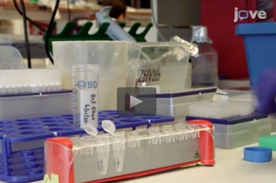 DNA sequencing protocol in the lab of Ari Melnick and Olivier Elemento