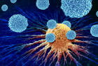 T cells attacking cancer