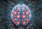 glioblastoma circuits