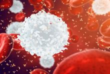 white b cell among red blood cells