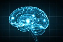 brain illustration