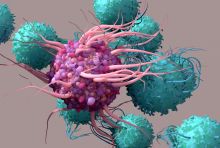 dendritic cells and T cells