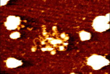 high-resolution chromatin image