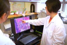 woman pointing at a computer screen while another woman looks on