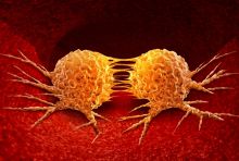 image of cancer cells dividing