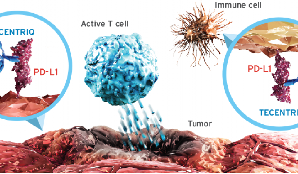 Immunotherapy | Meyer Cancer Center